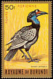 Abyssinian Ground Hornbill Bucorvus abyssinicus  1965 Birds Gold border