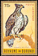 Martial Eagle Polemaetus bellicosus  1965 Birds Gold border