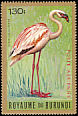 Lesser Flamingo Phoeniconaias minor  1965 Birds Gold border