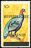 Congo Peafowl Afropavo congensis  1967 Overprint REPUBLIQUE DU BURUNDI on 1965.01-4 