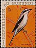 Great Grey Shrike Lanius excubitor  1970 Birds 