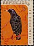 Common Starling Sturnus vulgaris  1970 Birds 