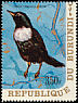Ring Ouzel Turdus torquatus  1970 Birds 