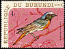 Common Redstart Phoenicurus phoenicurus  1970 Birds 
