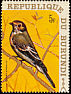 European Pied Flycatcher Ficedula hypoleuca  1970 Birds 