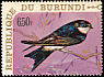 Common House Martin Delichon urbicum  1970 Birds 