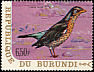 Fieldfare Turdus pilaris  1970 Birds 