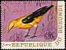 Eurasian Golden Oriole Oriolus oriolus  1970 Birds 