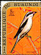 Great Grey Shrike Lanius excubitor  1970 Birds, new face values 