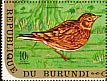 Eurasian Skylark Alauda arvensis