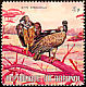White-backed Vulture Gyps africanus  1971 African animals 24v set