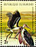 Marabou Stork Leptoptilos crumenifer  1977 African animals 