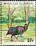Vulturine Guineafowl Acryllium vulturinum  1977 African animals 