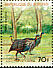 Vulturine Guineafowl Acryllium vulturinum  1977 African animals, new face values 