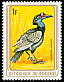 Abyssinian Ground Hornbill Bucorvus abyssinicus  1979 Birds 