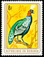 Congo Peafowl Afropavo congensis  1979 Birds 