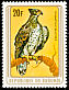 Martial Eagle Polemaetus bellicosus  1979 Birds 