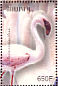 Lesser Flamingo Phoeniconaias minor  2004 Birds of Africa Sheet