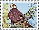 Lanner Falcon Falco biarmicus  2009 Birds of prey Sheet