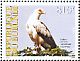 Palm-nut Vulture Gypohierax angolensis  2009 Birds of prey Sheet