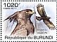 Long-crested Eagle Lophaetus occipitalis  2011 Raptors Sheet