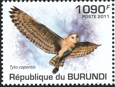 African Owls Stamp Bird Tyto Alba Tyto Capensis Bubo S/S MNH #4131 Bl.634 