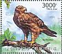 Tawny Eagle Aquila rapax  2012 Birds on the Red List Sheet