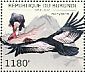 Andean Condor Vultur gryphus  2012 Vultures Sheet
