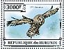 Great Grey Owl Strix nebulosa  2013 Owls Sheet
