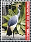 Grey Crowned Crane Balearica regulorum  2021 Fauna 5v set