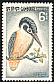 Common Kingfisher Alcedo atthis  1964 Birds 