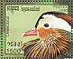 Mandarin Duck Aix galericulata  1993 Bangkok 1993  MS