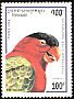 Black-capped Lory Lorius lory  1995 Parrots 