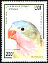 Princess Parrot Polytelis alexandrae  1995 Parrots 