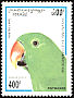 Eclectus Parrot Eclectus roratus  1995 Parrots 