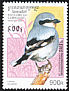 Great Grey Shrike Lanius excubitor  1997 Birds 