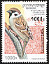 Eurasian Tree Sparrow Passer montanus  1997 Birds 