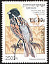 Common Reed Bunting Emberiza schoeniclus  1997 Birds 