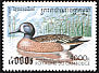 Blue-winged Teal Spatula discors  1997 Ducks 