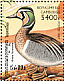 Baikal Teal Sibirionetta formosa  1997 Ducks  MS