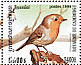 European Robin Erithacus rubecula  1999 Birds  MS