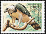 Harpy Eagle Harpia harpyja  1999 Birds of prey 