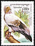 Egyptian Vulture Neophron percnopterus  1999 Birds of prey 