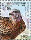 Red Kite Milvus milvus  1999 Birds of prey  MS