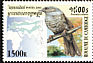 Alpine Accentor Prunella collaris  2000 Birds 