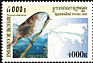 Bearded Reedling Panurus biarmicus  2000 Birds 