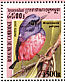 Rufous-bellied Niltava Niltava sundara  2000 Birds  MS