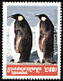 Emperor Penguin Aptenodytes forsteri  2001 Penguins 