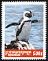 African Penguin Spheniscus demersus  2001 Penguins 