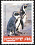Humboldt Penguin Spheniscus humboldti  2001 Penguins 